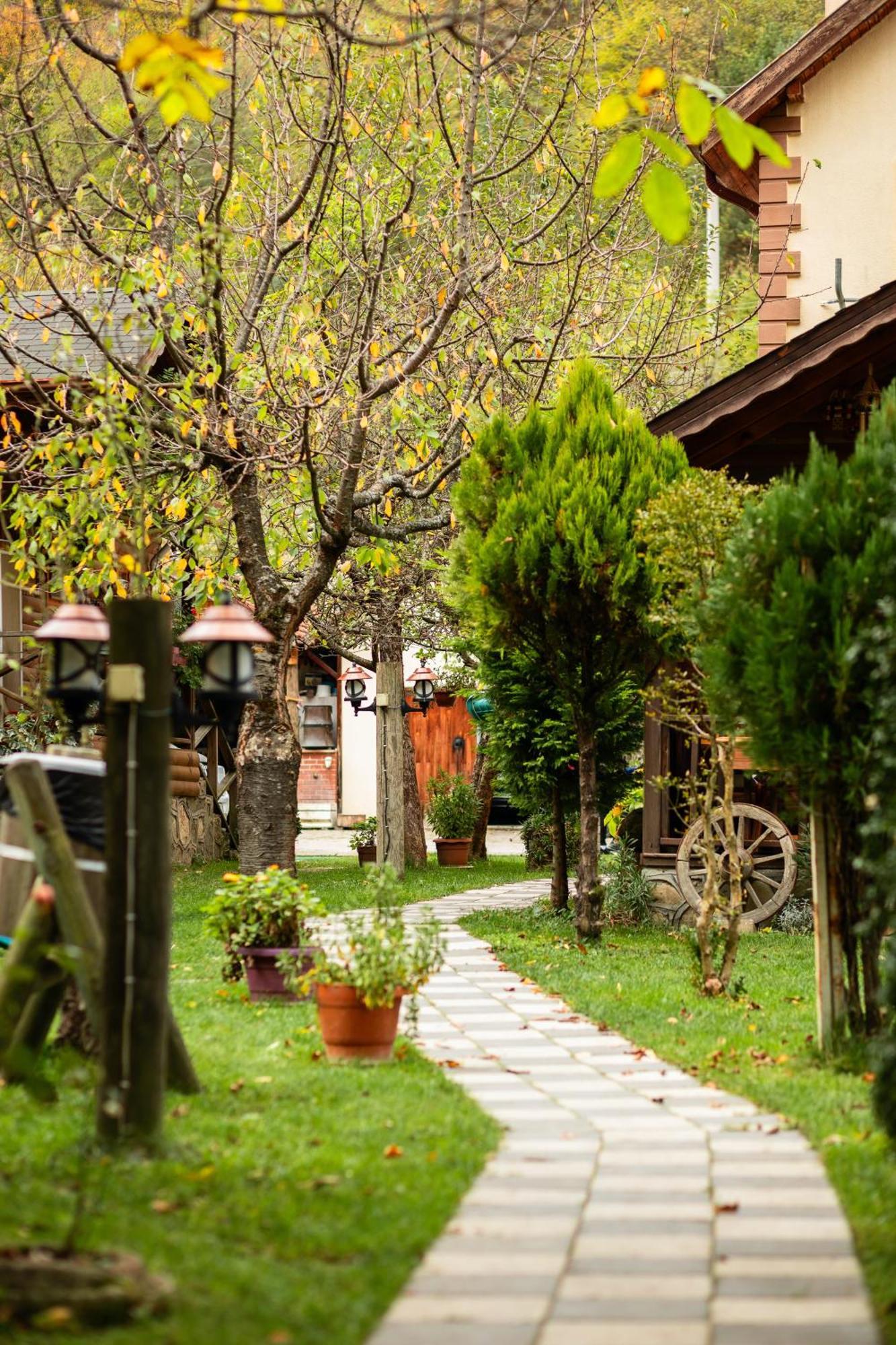 Abant Doga Koeskue Bed & Breakfast Bolu Bagian luar foto